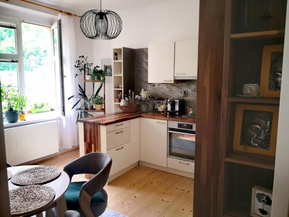 Apartmany Ivana เดชชิน ภายนอก รูปภาพ